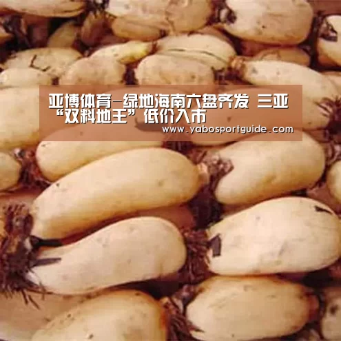 亚博体育-绿地海南六盘齐发 三亚“双料地王”低价入市(图2) 亚博品牌